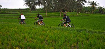 ubud cycling bali tour