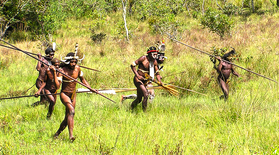 discover west papua culture