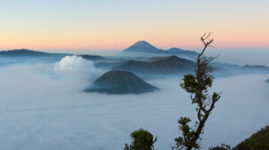 bromo