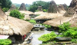 sumba traditional village